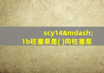 scy14—1b柱塞泵是( )向柱塞泵